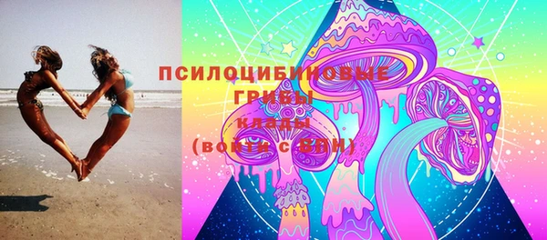 дурь Верея